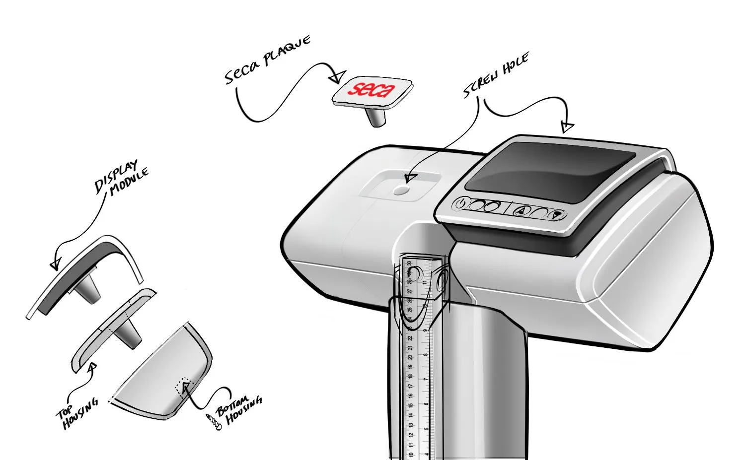 hero-SECA scale Sketch27